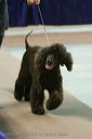 20081129-iwsac-0679