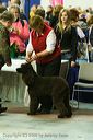 20081129-iwsac-0687