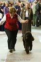 20081129-iwsac-0689