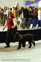 20081129-iwsac-0700