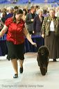 20081129-iwsac-0712
