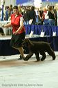 20081129-iwsac-0723