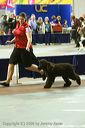 20081129-iwsac-0724