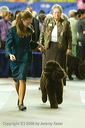 20081129-iwsac-0731