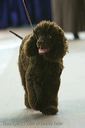 20081129-iwsac-0734