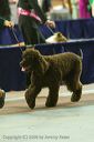 20081129-iwsac-0744