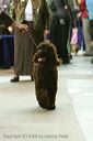 20081129-iwsac-0745