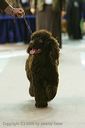 20081129-iwsac-0747