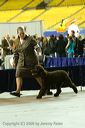 20081129-iwsac-0752