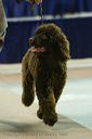 20081129-iwsac-0756