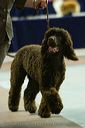 20081129-iwsac-0759