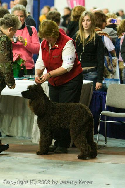 20081129-iwsac-0687.jpg