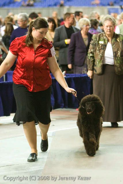 20081129-iwsac-0712.jpg