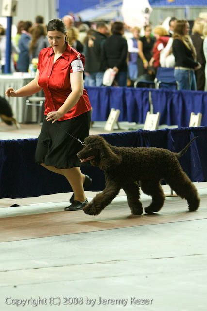 20081129-iwsac-0723.jpg