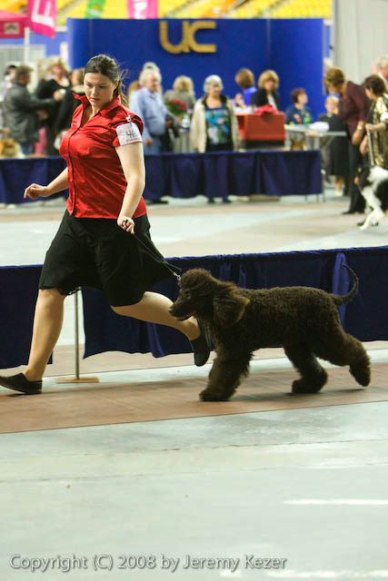 20081129-iwsac-0724.jpg