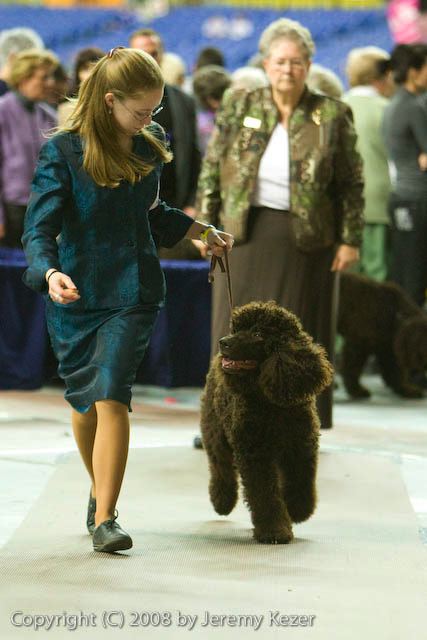 20081129-iwsac-0731.jpg