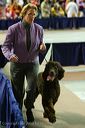 20081129-iwsac-0584