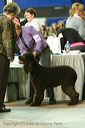 20081129-iwsac-0587
