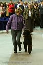 20081129-iwsac-0590