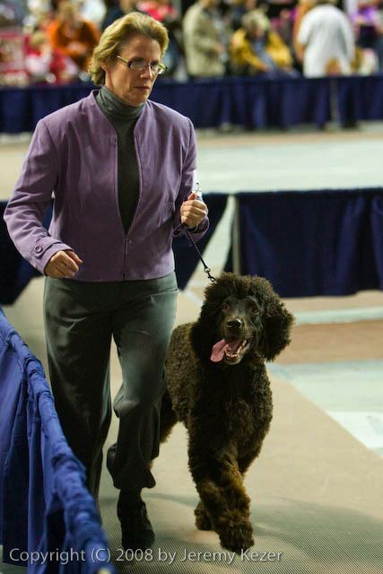 20081129-iwsac-0584.jpg