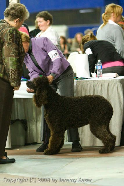 20081129-iwsac-0587.jpg