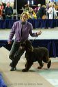 20081129-iwsac-0598