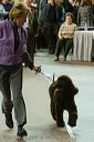 20081129-iwsac-0610