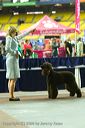 20081129-iwsac-0762