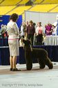 20081129-iwsac-0763