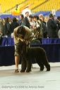 20081129-iwsac-0764