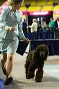 20081129-iwsac-0766