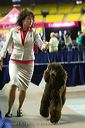 20081129-iwsac-0768
