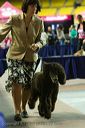 20081129-iwsac-0775