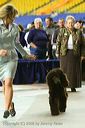 20081129-iwsac-0785
