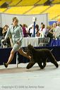 20081129-iwsac-0796