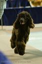 20081129-iwsac-0799