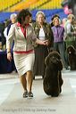 20081129-iwsac-0805