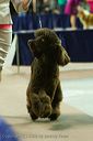 20081129-iwsac-0817