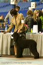 20081129-iwsac-0818