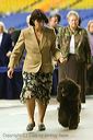 20081129-iwsac-0822