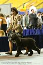 20081129-iwsac-0831