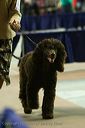 20081129-iwsac-0836