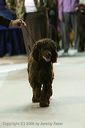 20081129-iwsac-0855