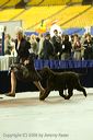 20081129-iwsac-0865