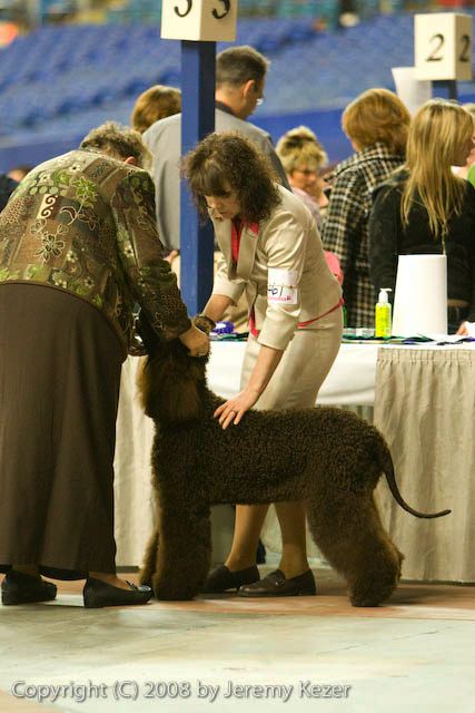 20081129-iwsac-0801.jpg