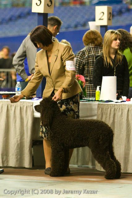20081129-iwsac-0818.jpg