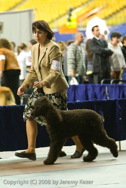 20081129-iwsac-0831.jpg