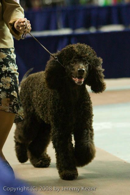 20081129-iwsac-0838.jpg