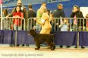 20081130-iwsac-0186