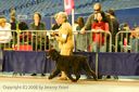20081130-iwsac-0188
